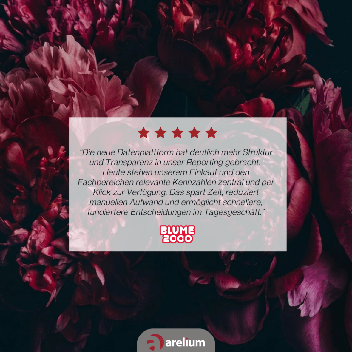 BLUME 2000: Die neue Datenplattform hat deutlich mehr Struktur und Transparenz in unser Reporting gebracht. Heute stehen unserem Einkauf und den Fachbereichen relevante Kennzahlen zentral und per Klick zur Verfuegung. Das spart Zeit, reduziert manuellen Aufwand und ermoeglicht schnellere, fundiertere Entscheidungen im Tagesgeschaeft.